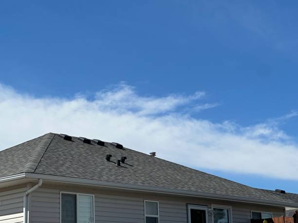 Best Roof Insulation Installation  in Orchard Hills, PA