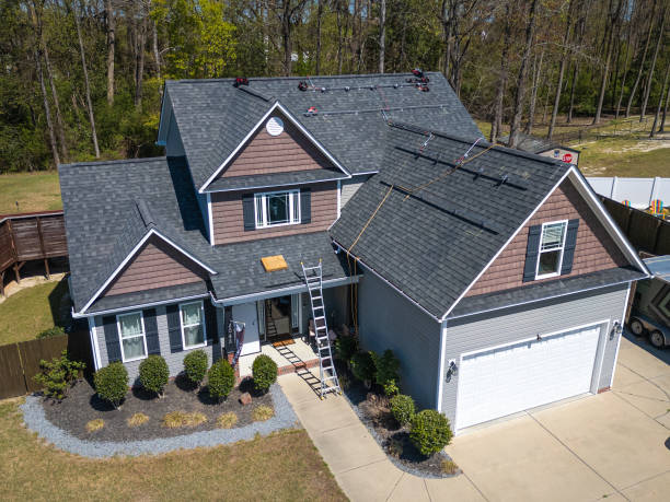 Best Roof Moss and Algae Removal  in Orchard Hills, PA