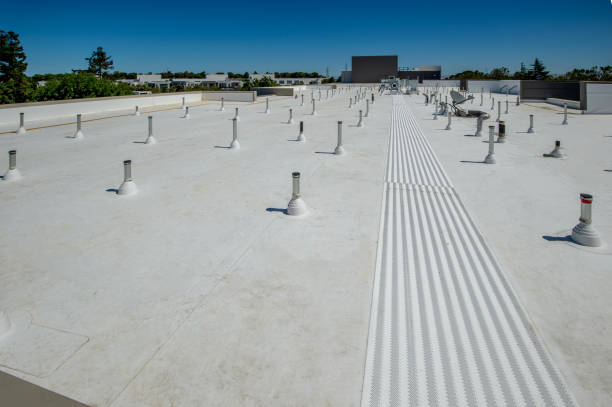 Best Roof Coating and Sealing  in Orchard Hills, PA
